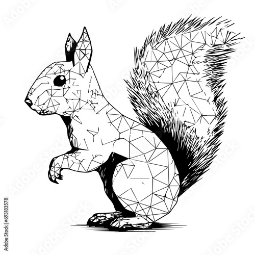 Squirrel Vector