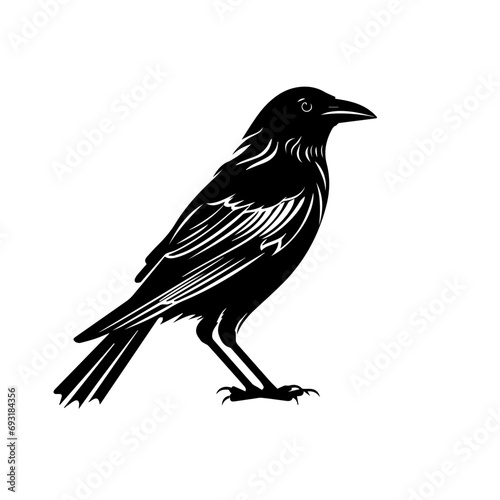 Crow Vector © Matthew