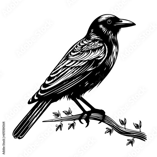 Crow Vector