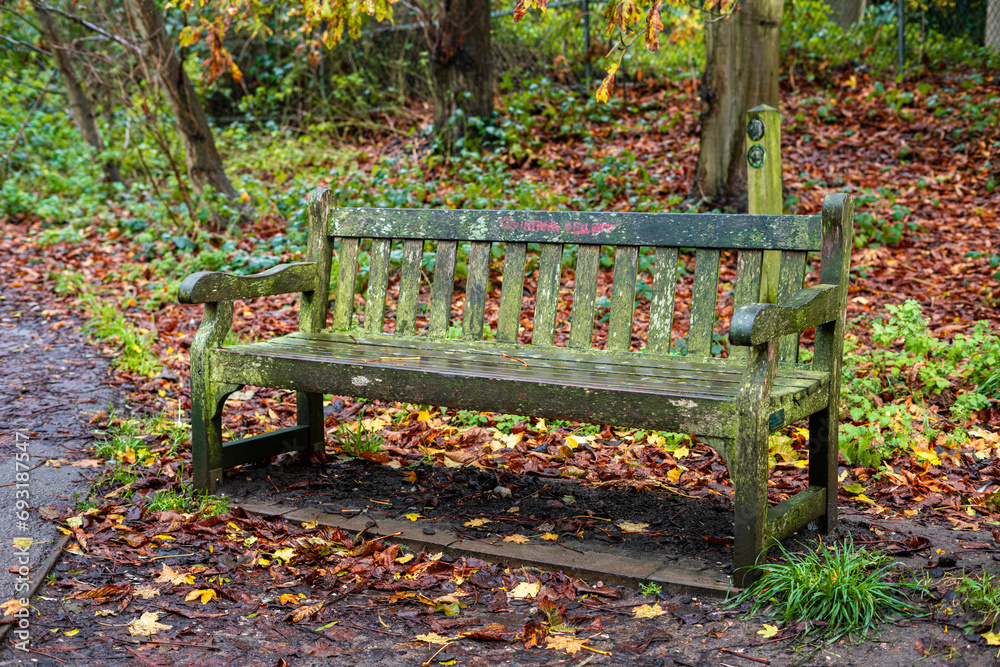 A wooden bench in a public park with autumnal vibes and leaves fallen off the trees