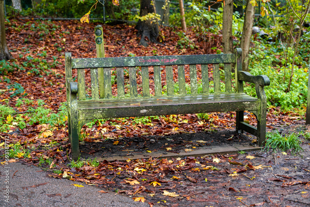 A wooden bench in a public park with autumnal vibes and leaves fallen off the trees A wooden bench in a public park with autumnal vibes and leaves fallen off the trees