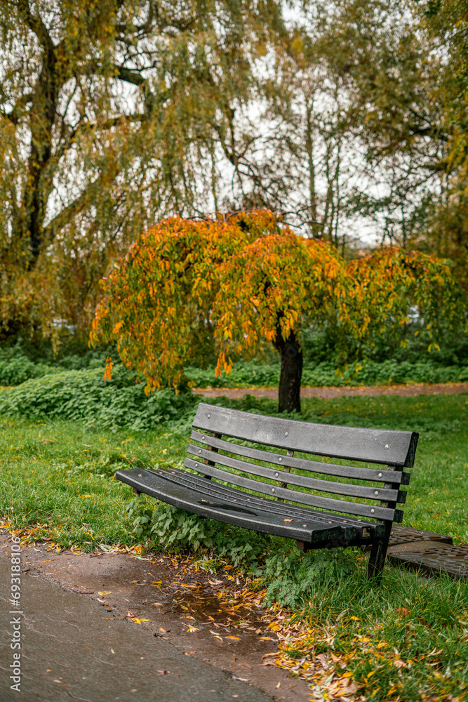 A wooden bench in a public park with autumnal vibes and leaves fallen off the trees A wooden bench in a public park with autumnal vibes and leaves fallen off the trees