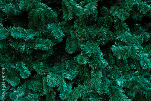 Christmas tree branch - Background