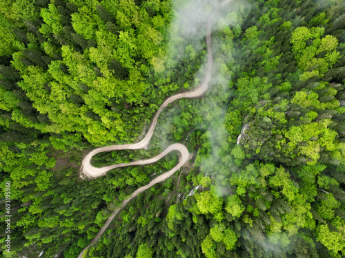Aerial drone panorama above a narrow canyon winding through beech woodlands. Rainy day. Low altitude clouds form above the forest. Spring season, the tree leaves are bright green. 