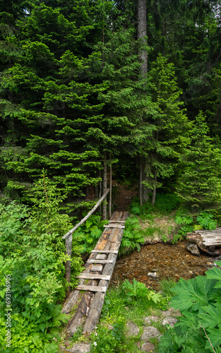 View of a wooden footbridge made out of logs crossing a rapid river flowing near a coniferous forest. Carpathia, Romania. Summertime, vegetation is abundant.