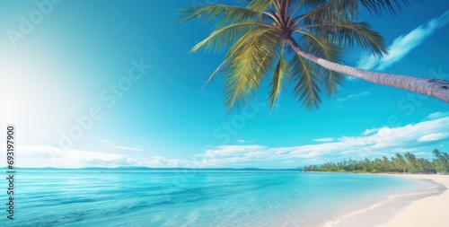 palm tree on the beach © ArtCookStudio