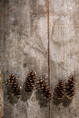 Pine cones on a weathered board photo