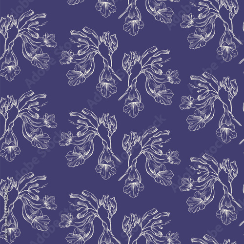 Vector floral seamless pattern outline style branch of jacaranda flowers. Beige elements on violet background. Hand drawn illustration for design packaging, textile, wallpaper, fabric