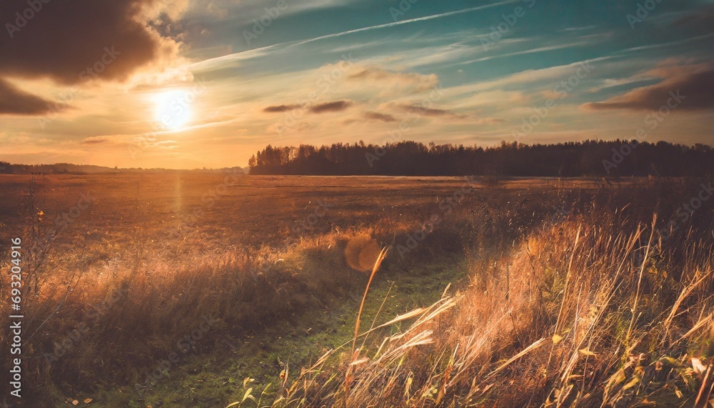 scenic shot of sunset over an autumn field with dry grass in lithuania cool for background - obrazy, fototapety, plakaty 