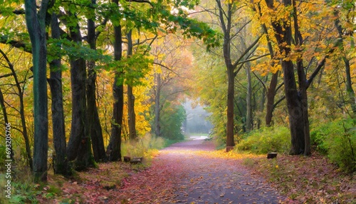 beautiful albeautiful alley in colorful autumn timeley in colorful autumn time