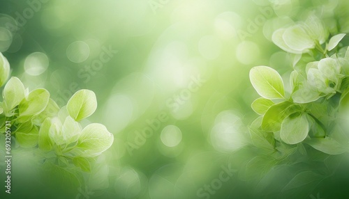 soft light green background