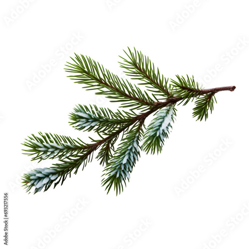 Fir Branch with Snow isolated on transparent background Generative AI