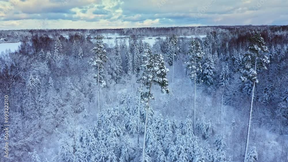 Aerial view of a frozen forest with snow covered trees. Aerial view of a frozen forest with snow covered trees.