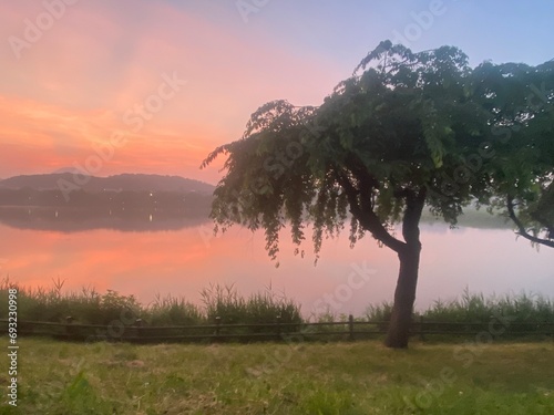 A sunset bathing the lake in its warm glow, a solitary tree standing in tranquility with golden-hued grasses shimmering in the surrounding, creating a beautiful natural landscape. photo