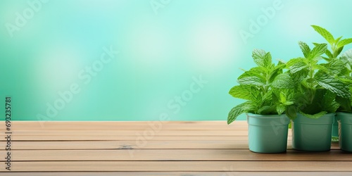 Table on wooden deck with mint wallpaper background.