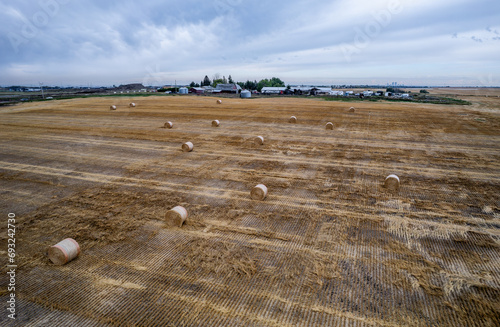 Aerial view of an Albertan wheat field in autumn  photo