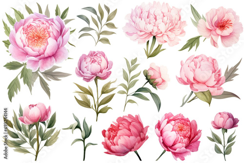 Watercolor paintings Peony flower symbols On a white background. 