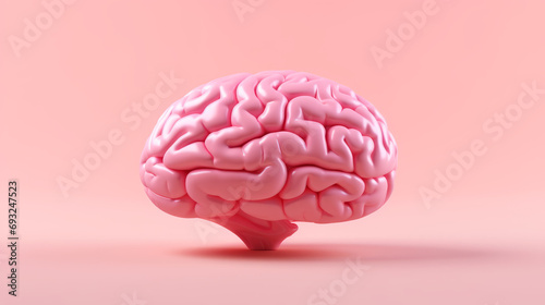 Anatomy model of human brain