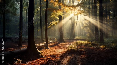 A serene autumn forest with a carpet of fallen leaves, and rays of sunlight piercing through the trees.