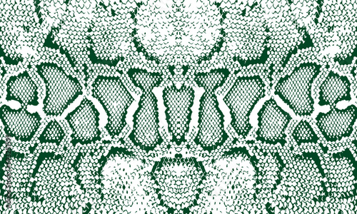 snake. dragon. background. texture. green. postcard.