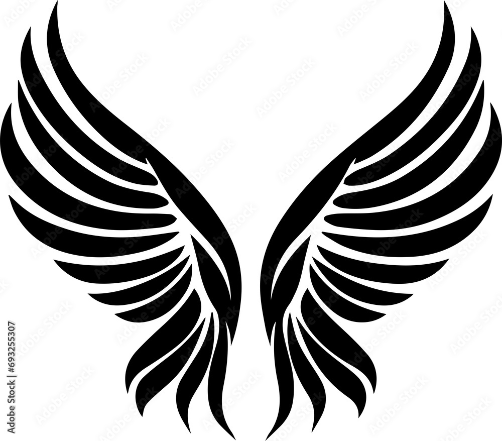 Obraz premium beautiful angel wings