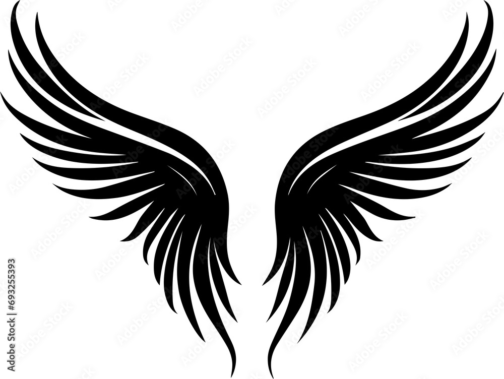 Obraz premium beautiful angel wings