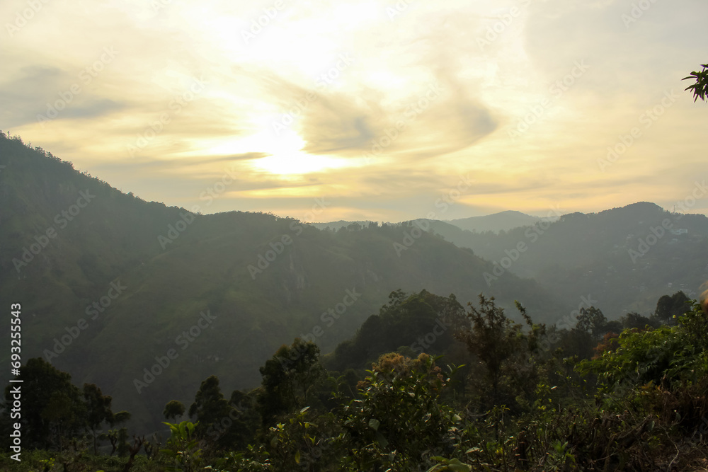 Lush green grass on the rocky mountain near Ella village, Sri Lanka