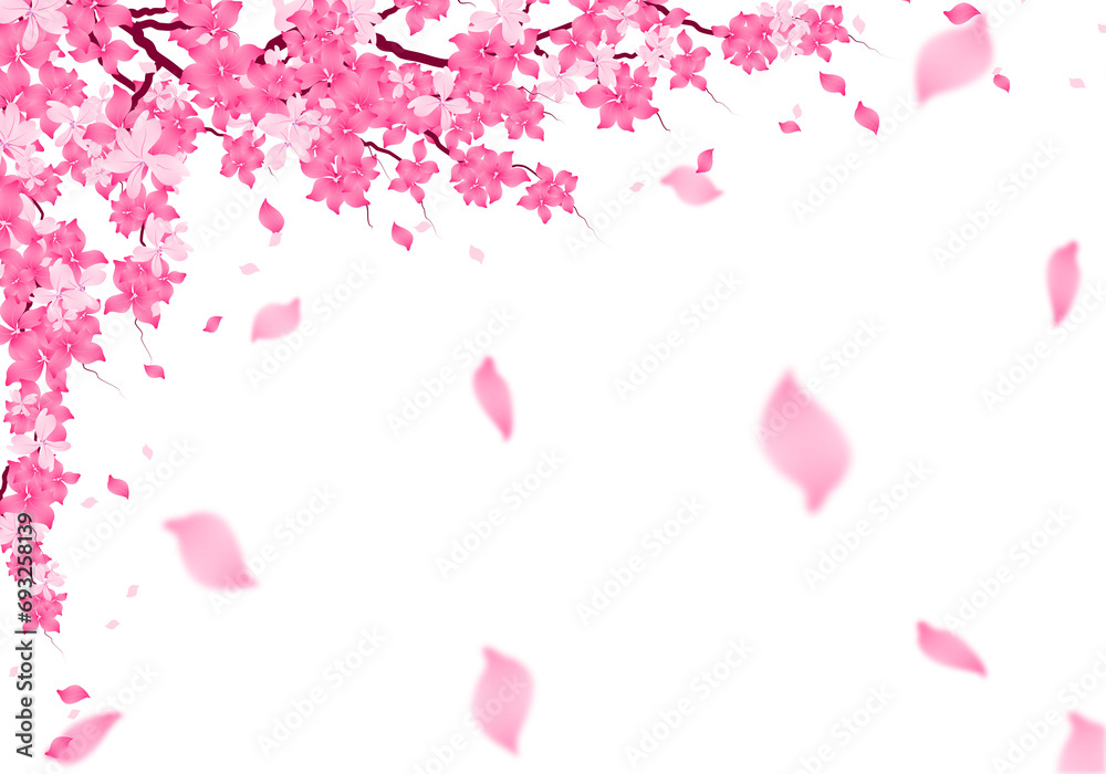 Flowers Petal Background. Sakura Bloom Frame Clipart. Floral falling Border.