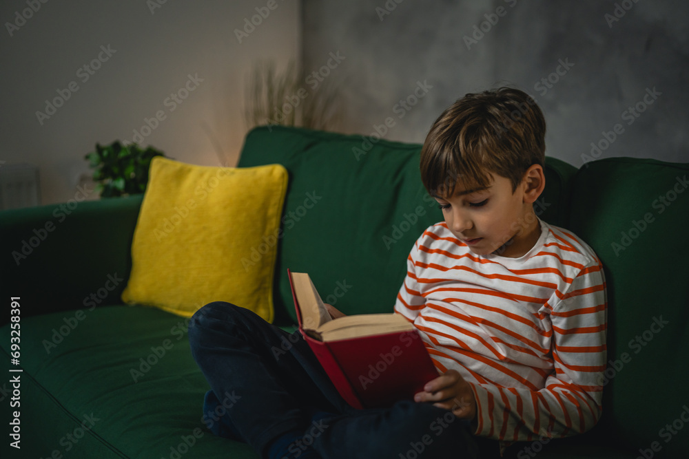 One caucasian boy child at home read a book education concept One caucasian boy child at home read a book education concept