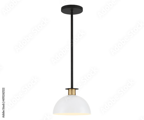 Image of Classic Pendant Light