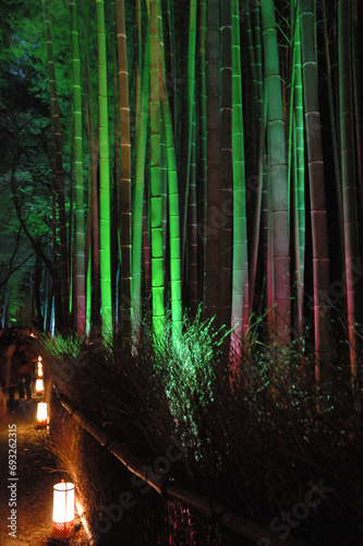 The bamboo forest lit up @Arashiyama.Kyoto / ライトアップされる京都の竹林小径 @嵯峨野嵐山エリア