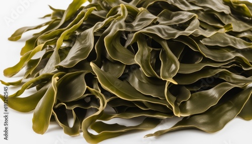 A pile of seaweed on a white background photo