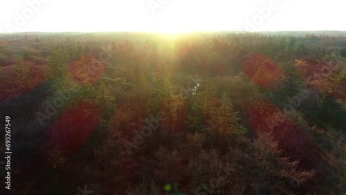 Beautiful Warm Glow over the Treetops during Sunset, Reveal Shot - Friesland, The Netherlands, 4K Drone Footage
 photo