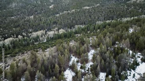 Drone view of pine trees on a cold snowy mountain photo