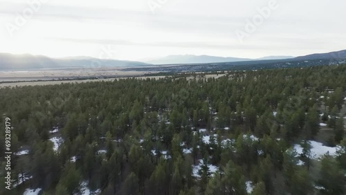 Drone over snowy pine trees approaching the Rocky Mountains in Colorado during sunrise photo