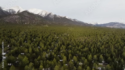 Establishing shot of pine trees on Mount Princeton in the Rocky Mountains in Colorado during sunrise photo