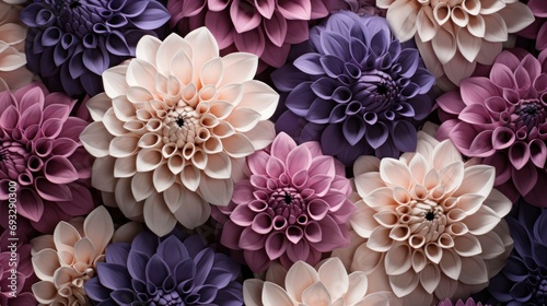 Top View Dahlias Background with Intricate Petal Pattern © Custom Media