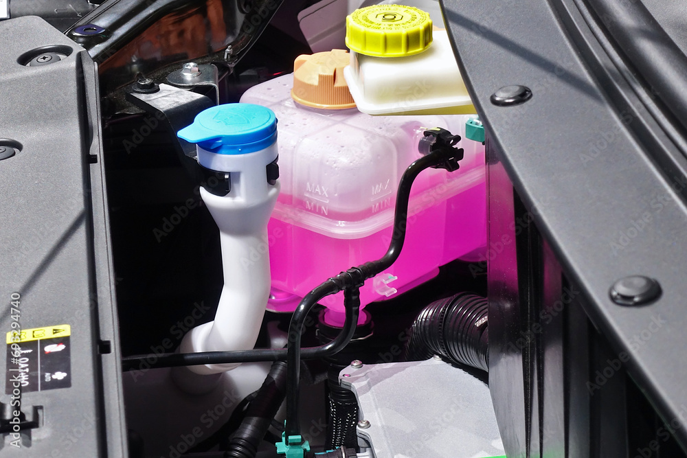 Various fluid systems within the engine compartment of new EV cars.