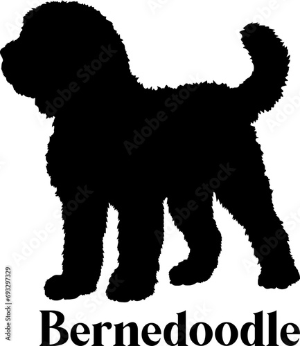 Bernedoodle Dog Silhouette SVG Vector