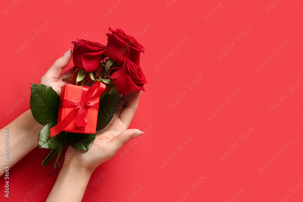 Female hands with beautiful roses and gift box on red background. Valentine's day celebration - obrazy, fototapety, plakaty 