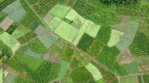 Aerial photography of farmland