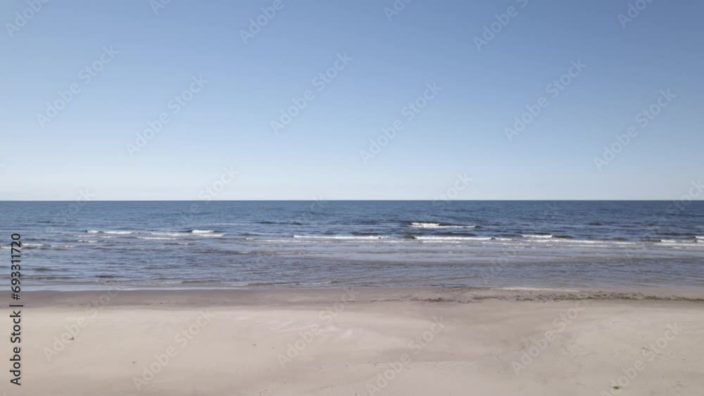 Drone rises above tree canopy to sandy beach with rolling waves crashing under blue sky Drone rises above tree canopy to sandy beach with rolling waves crashing under blue sky