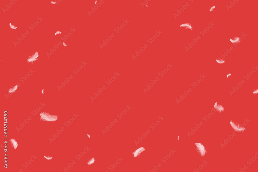 Abstract White Bird Feathers Falling in The Air. Softness of Feathers on Red Background.
