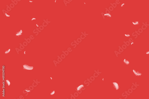 Abstract White Bird Feathers Falling in The Air. Softness of Feathers on Red Background. 