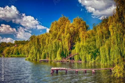 Weeping willow trees on the Dnipro river photo