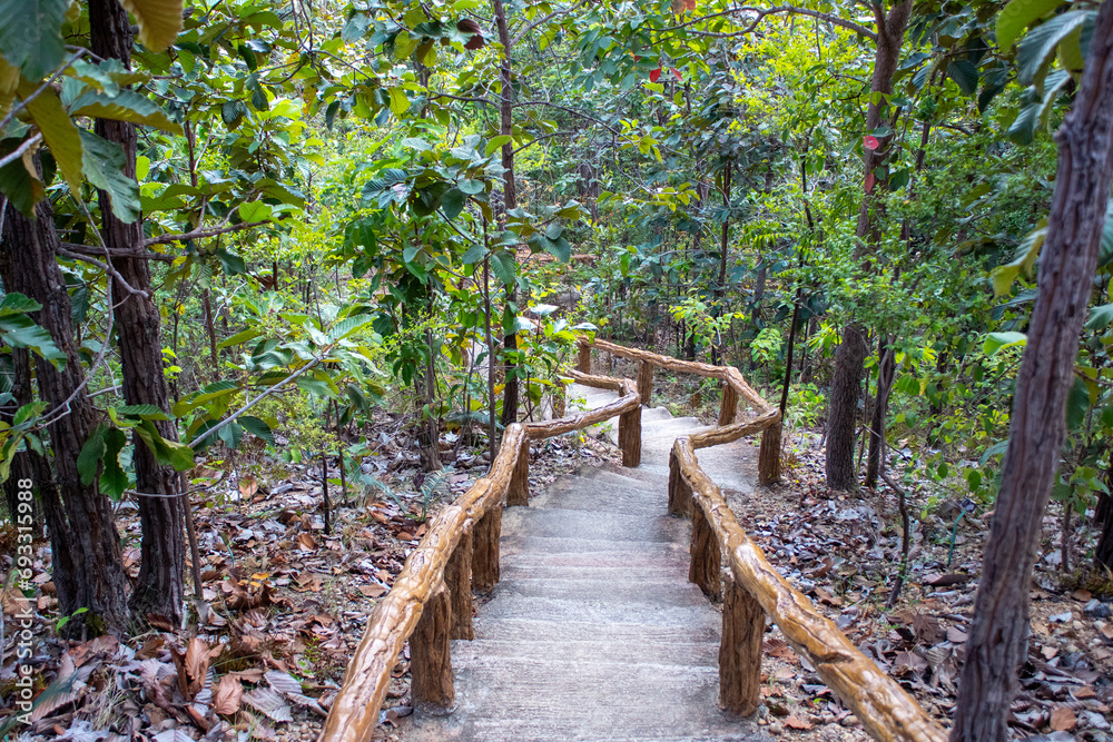 Fototapeta premium National Park Thailand