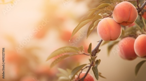 Blurred background with peach photo
