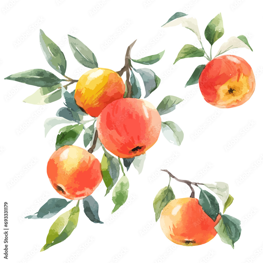 Beautiful vector set with hand drawn apple fruits. Stock clipart illustration. Beautiful vector set with hand drawn apple fruits. Stock clipart illustration.