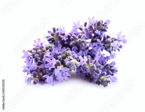 Lavender flower closeup on white backgrounds