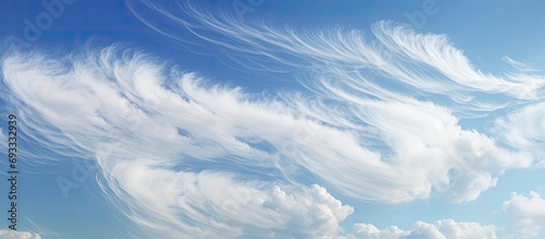 Latin name for curly hooked cirrus clouds is cirrus uncinus.